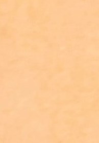 Gary Rafuse Obituary - Guelph, ON