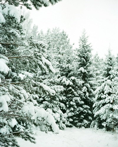 Obituary of Steven David New