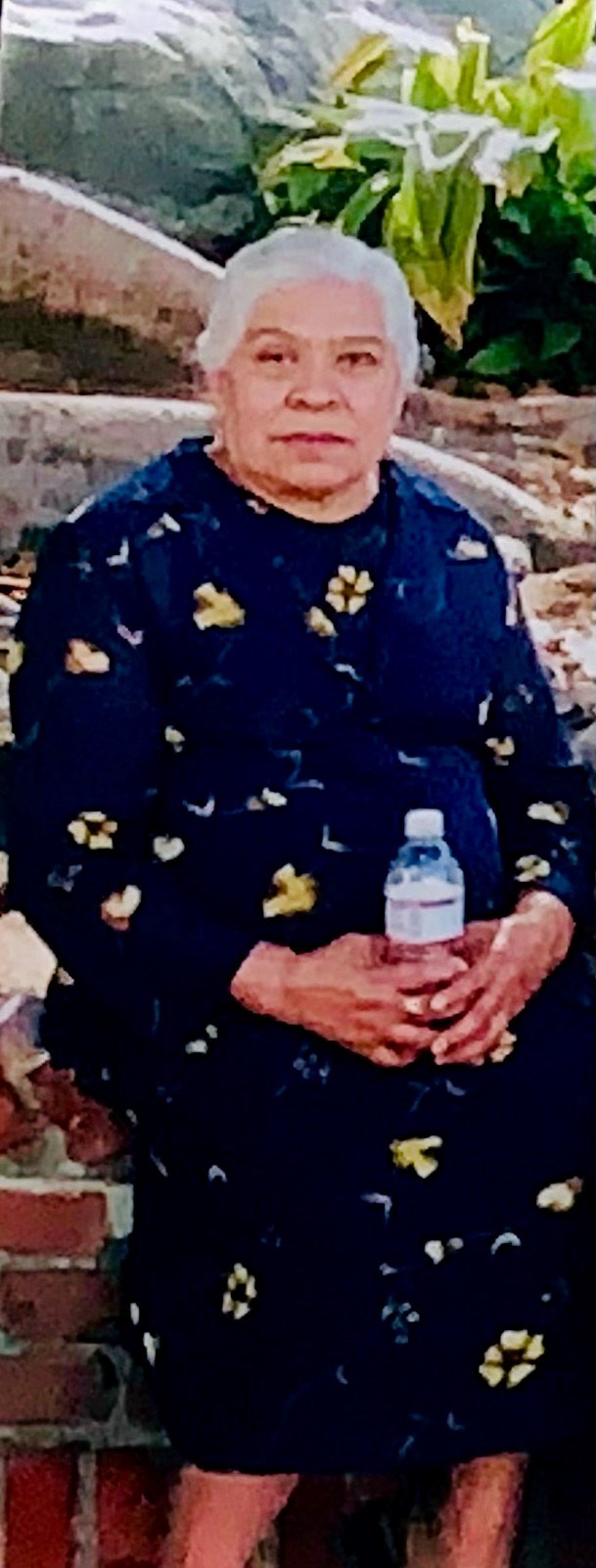 Obituary of Amelia Martinez