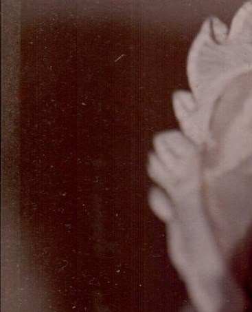 Wanda Parten Obituary - San Antonio, TX