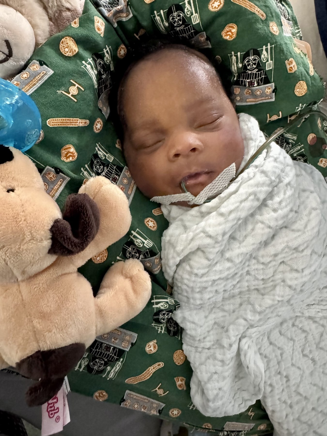 Obituary of Judah Maxwell Provost