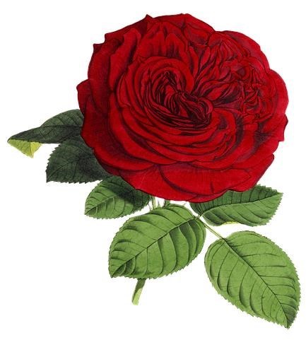 Obituary of Samuel Fletcher Pratt Jr.