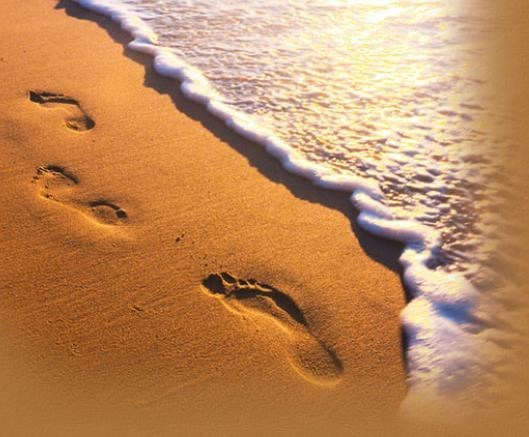 Avis de décès de Frank Ronald Connelly