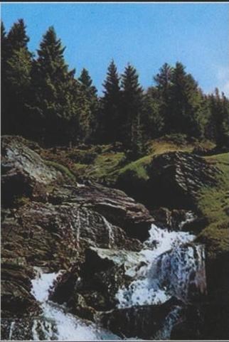 Obituary of Luc Toufic Aina