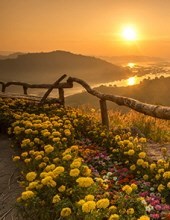 Obituary of Elizabeth M. Duke