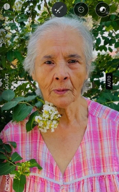 Obituary of Antonia Portillo