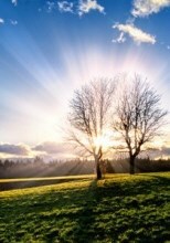 Obituary of Edgar Ronald LeMaster