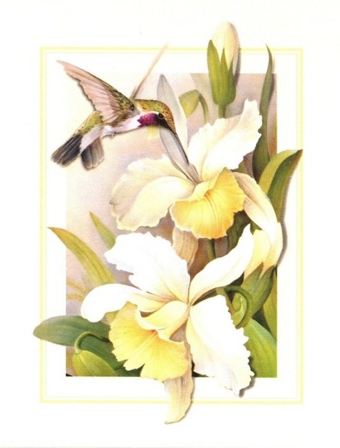 Obituary of Elizabeth Ann Rasberry