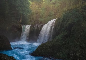 Obituary of Alfonso Carrillo Garcia