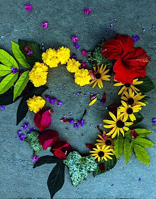 Obituary of Janice Elaine Shirley