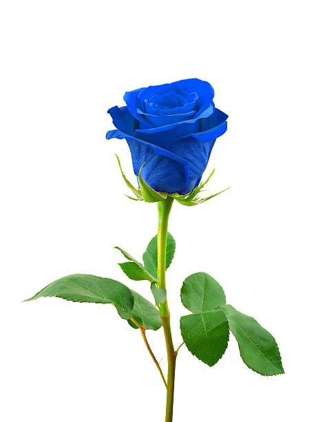Obituary of Rogelio F Moral