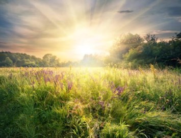 Obituary of Joaquin Hernandez Yanez