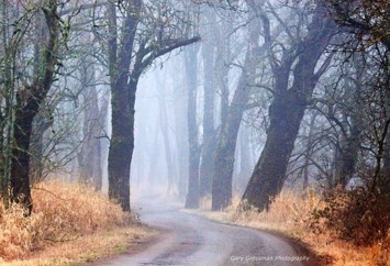 Obituary of John Barry Kennedy