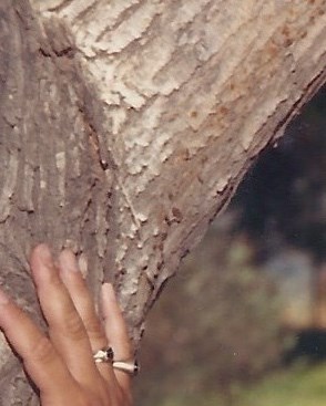 Manuel Alanis Obituary San Bernardino, CA