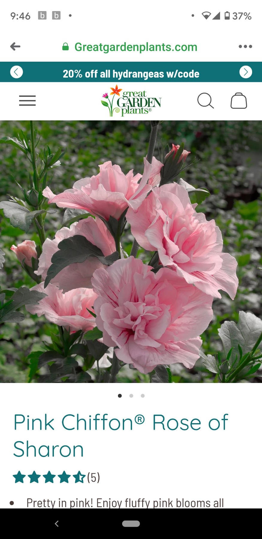 Obituary of Elizabeth Mills Rose