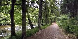 Obituary of Robert Lee McElroy