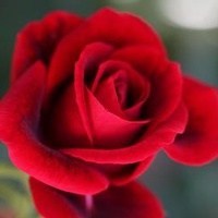 Obituary of James B. Jenkins