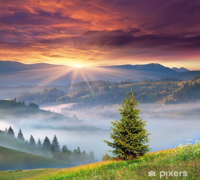 Obituary of Betty Louise Abbott