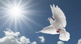 Obituary of Mary Helen Sims