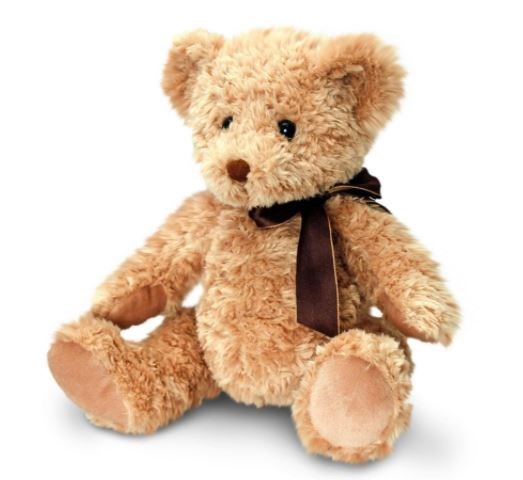 Obituary of Israel David Morris