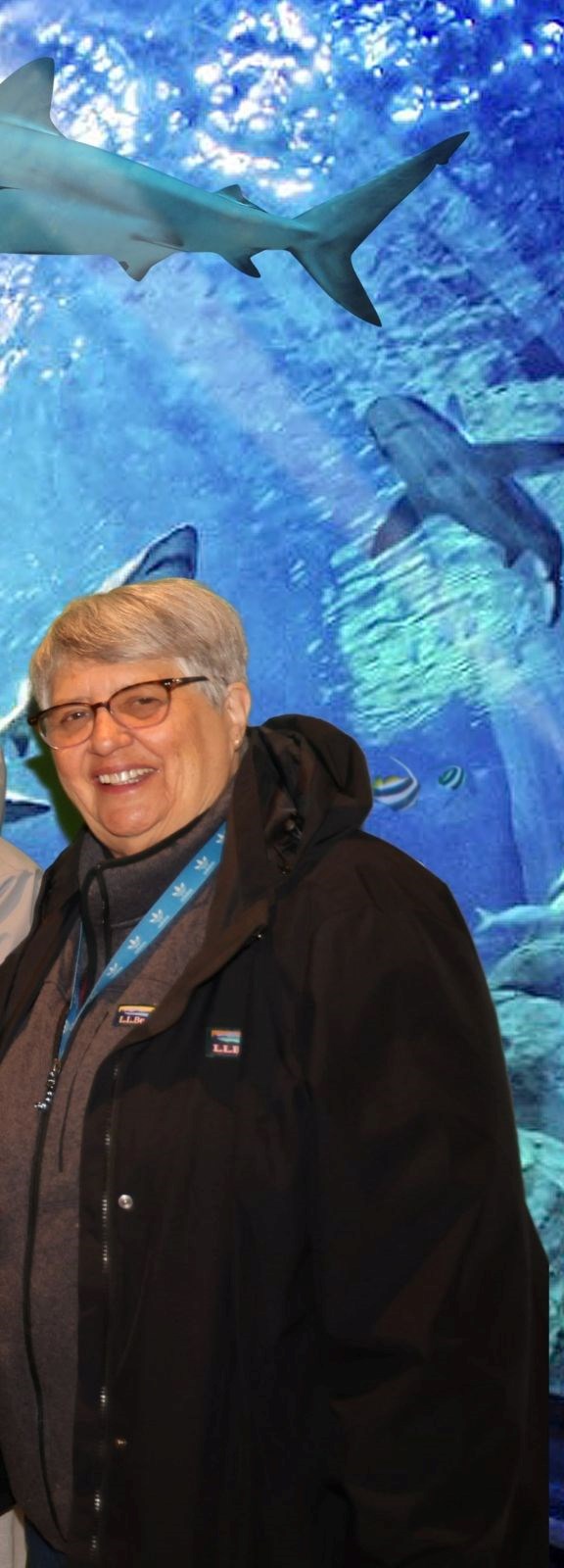 Obituary of Christine E. Emerizy