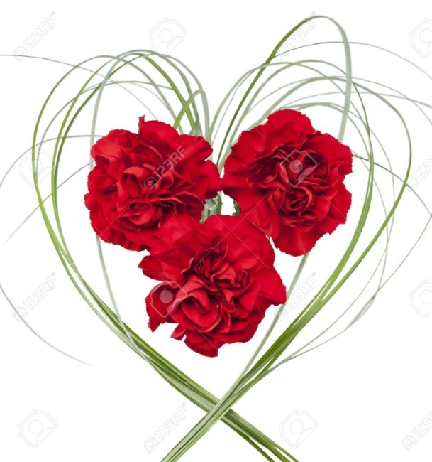 Obituary of Patricia Louise Wells