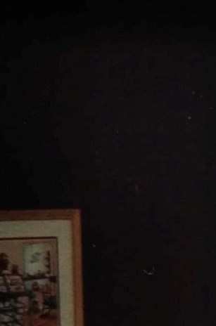 Barbara Riles Obituary - Plant City, FL