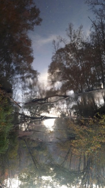 Obituary of Archie Wayne Parker