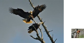 Obituary of Gordon Surtees SPENCER