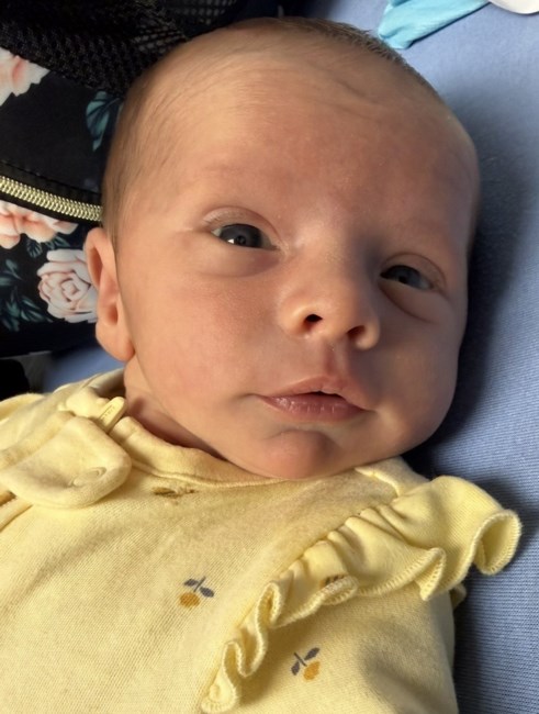 Obituary of Willow Grace Gumm