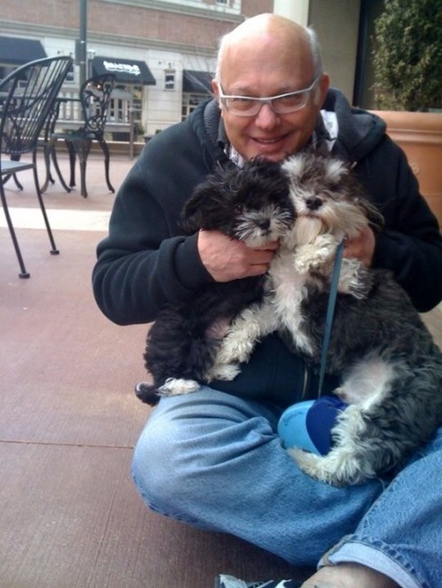 Obituary of Mark Shapiro