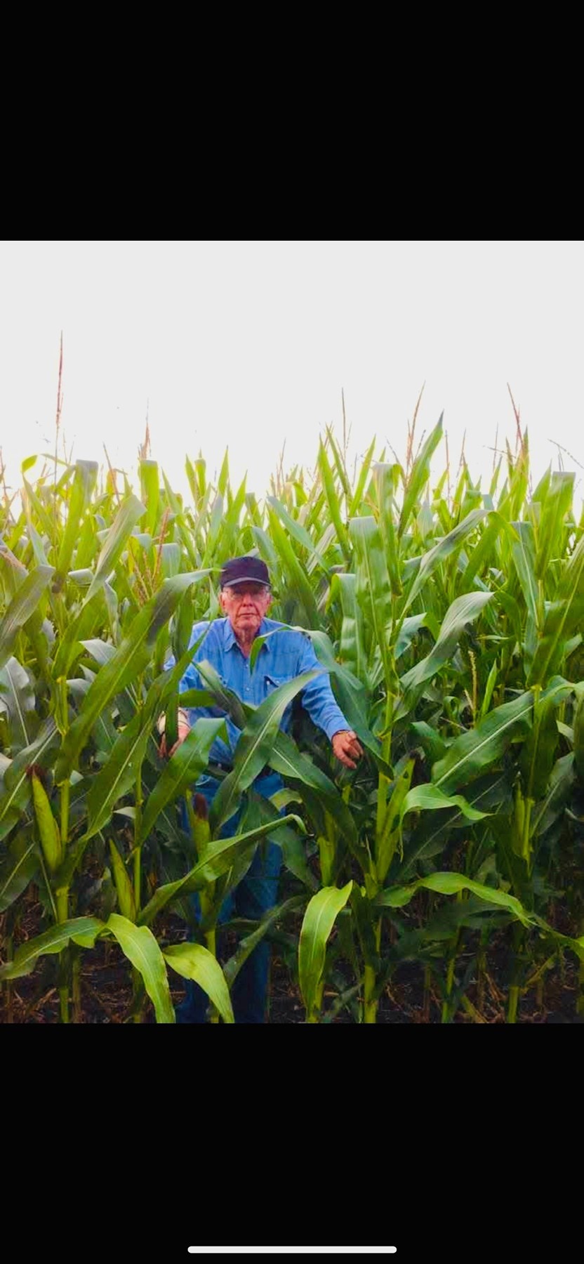 Obituary of James A. Cook Jr.