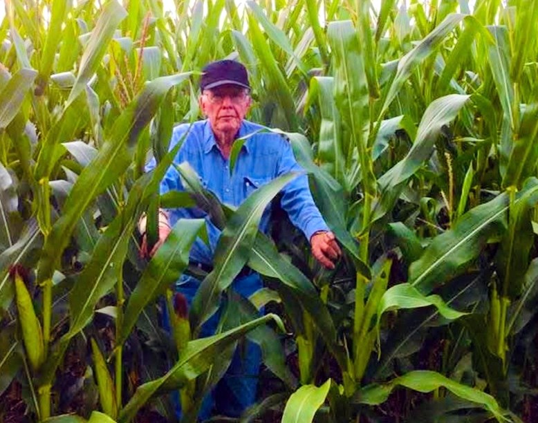 Obituary of James A. Cook Jr.