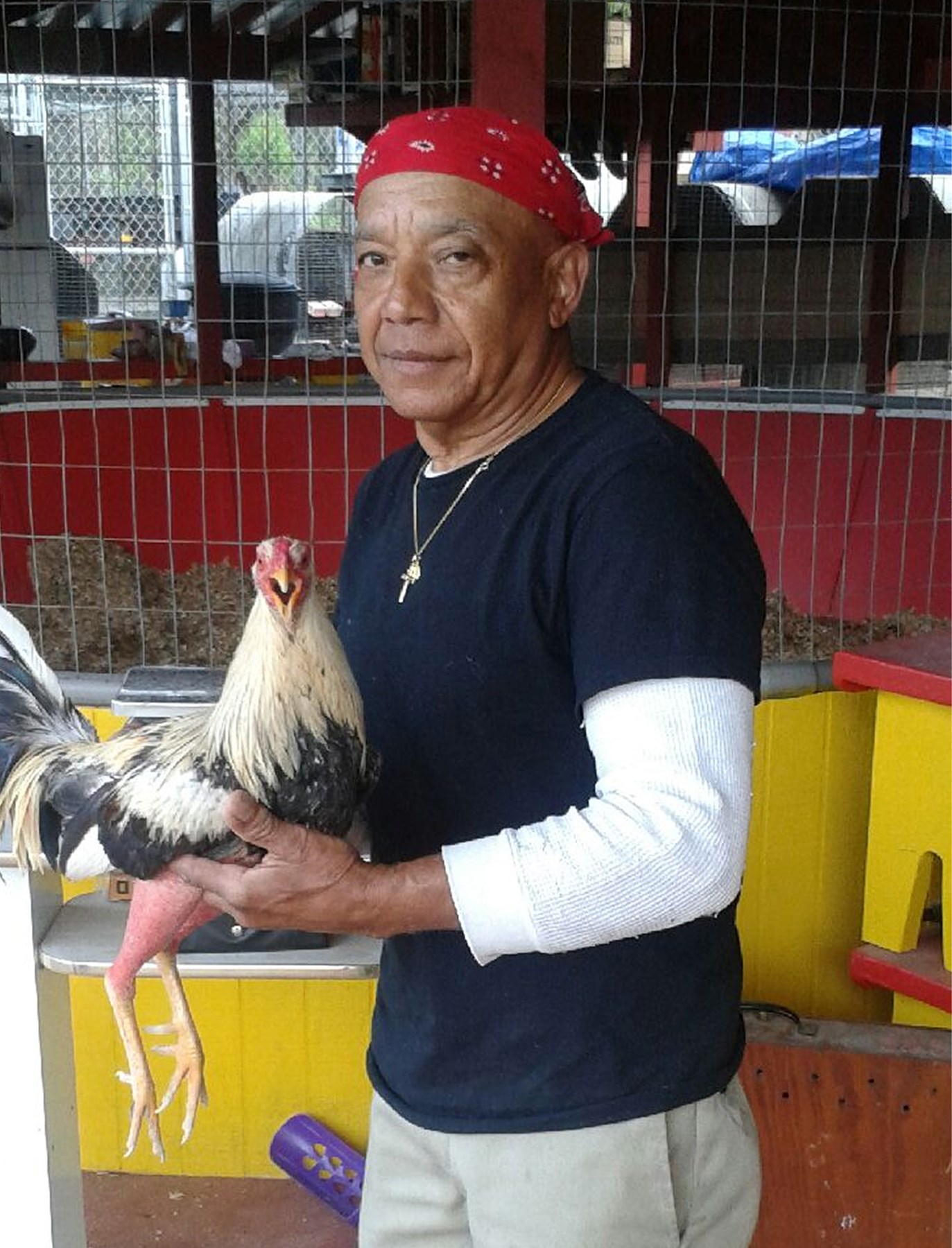 Obituary of Pedro Julio Sensat Viart