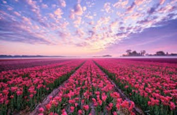 Obituary of Ruth Brito