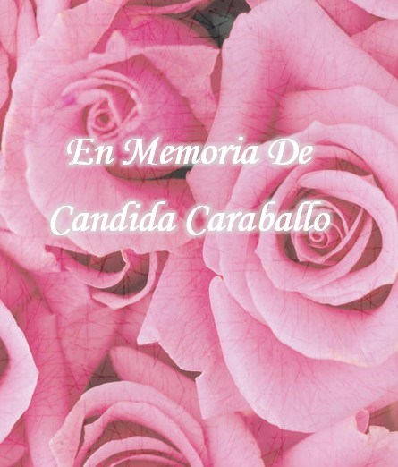 Obituary of Candida Caraballo