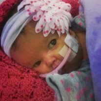 Obituary of Lola Leigh Phillips