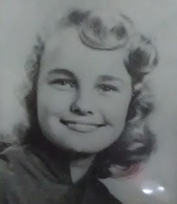 Obituary of Marilyn Ann Haley