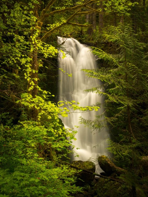 Obituary of Gary S. Jones