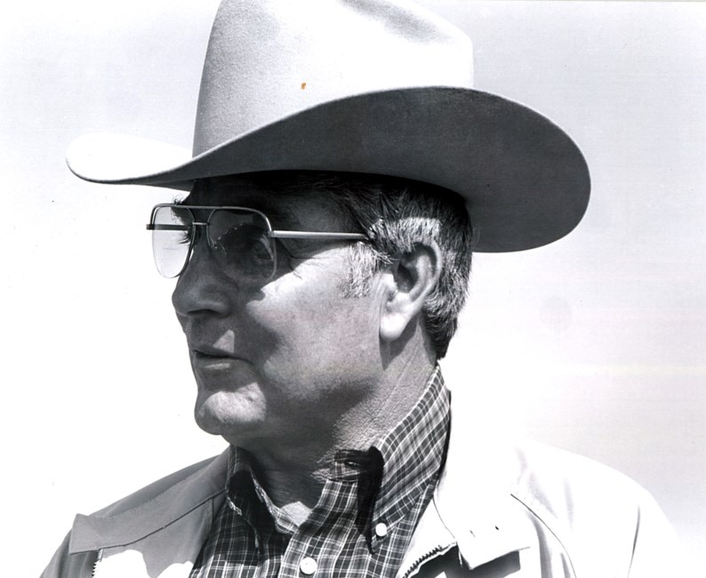 Obituary of Lee J. Fazzino Sr.