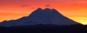 Obituary of Steven Eugene Morrison