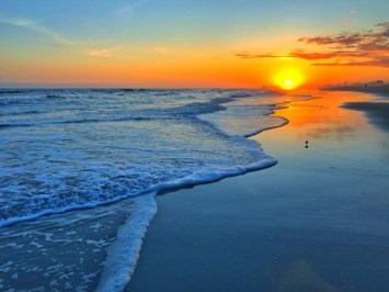 Obituary of Teresa Lee Freeman