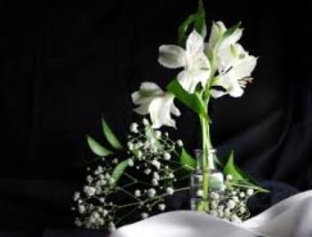 Obituary of William Thomas Harold Peters