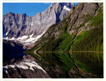 Obituary of Manfred Rieck