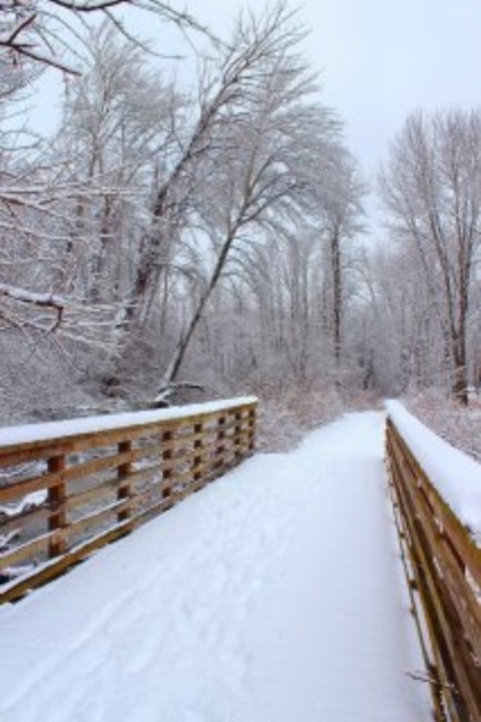 Obituary of Joyce Newhard