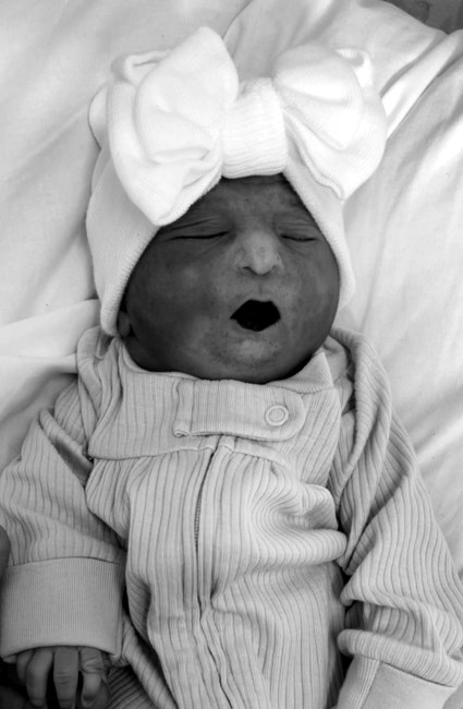 Obituary of Kehlani Par'Ys Vallet