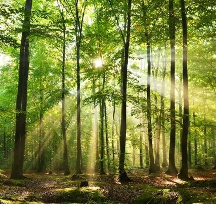 Avis de décès de Robert W Meyer