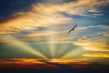 Obituary of Arthur Angel Reyes