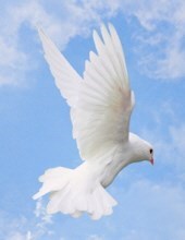 Obituary of Betty Loretta Shriver