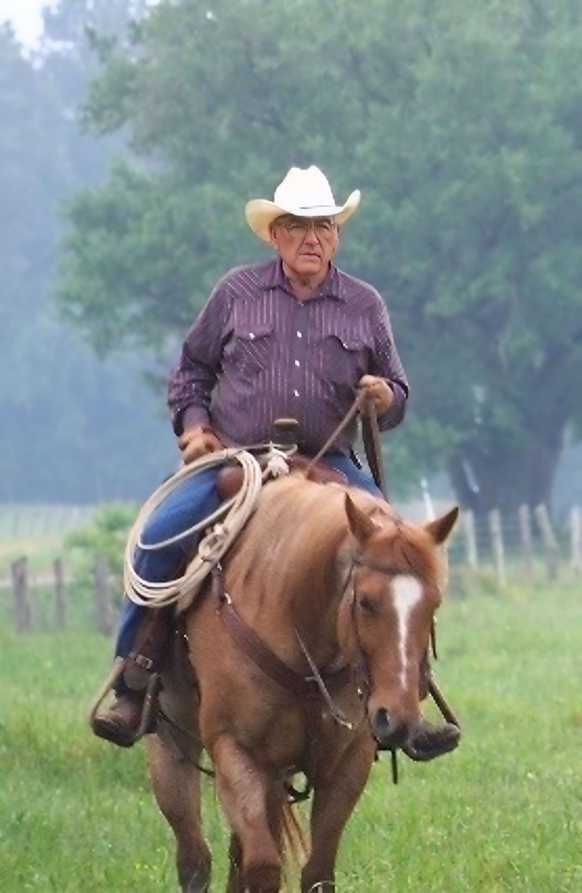 Obituary of Pierre Saltzman Jr.